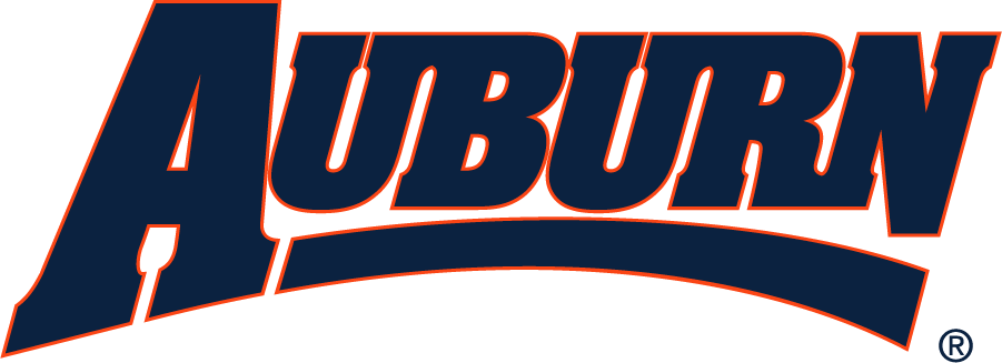 Auburn Tigers 1997-2006 Wordmark Logo diy DTF decal sticker